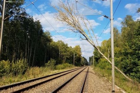 La Circulation Des Trains Interrompue Dans L Oise Apr S Une Chute D Arbre