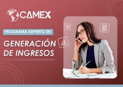 Inicio CAMEX