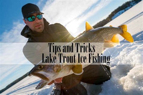 Lake Trout Ice Fishing In 2022 Tips And Tricks Ouachitaadventures