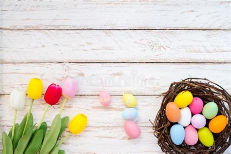 Colorful Easter Eggs In Nest With Tulip Flower On Blue Wooden