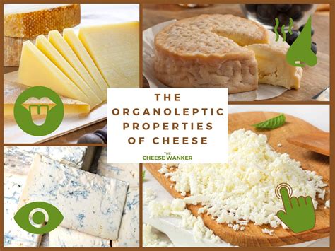 Organoleptic Properties of Cheese (Taste, Smell, Texture & Look)