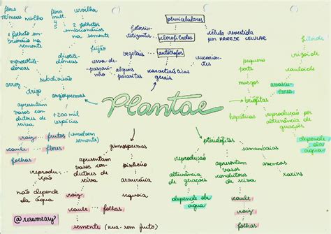 View Reino Plantae Mapa Mental The Book Mapa Hot Sex Picture