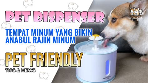 Review Pet Dispenser Yang Corgi Coffeelatte Pakai Untuk Anabul Anabul