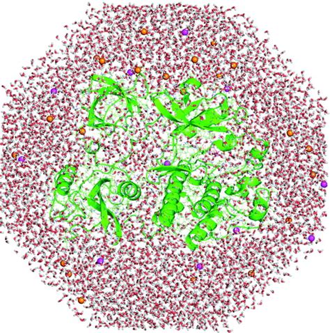 Molecular Dynamics And Protein Function PNAS