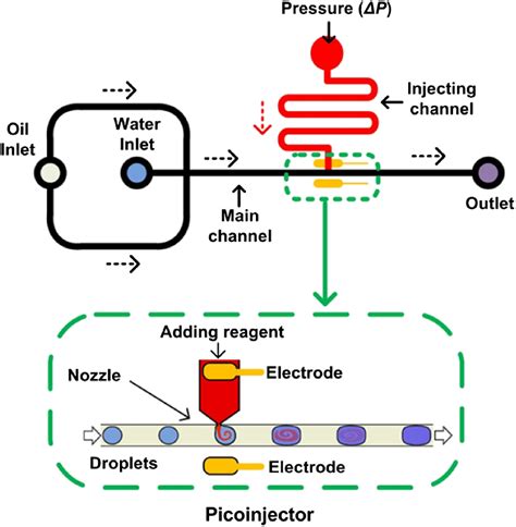 Schematic Of The Microfluidic Device The Device Consists Of A Droplet