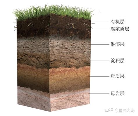 土壤教学经典用图30张 知乎