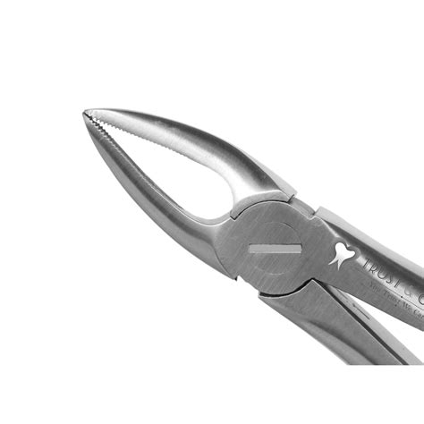 Buy Trust Care Tooth Extraction Forcep Upper Roots Fig No Premium