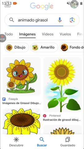 Buscando La Palabra Girasol Pero Si Me Sale Girasol D Pvz Se Acaba El