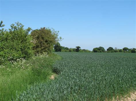 Footpath On Field Boundary Greenstead Roger Jones Geograph