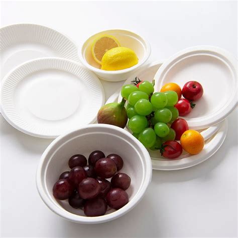 Eco Friendly Biodegradable Food Container Sugar Cane Pulp Bagasse Bowl