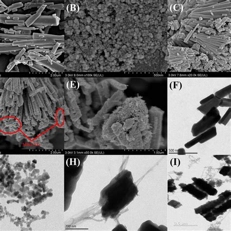 SEM Images Of A Ce MOF B ZnO C Ce MOF MWCNTs And D