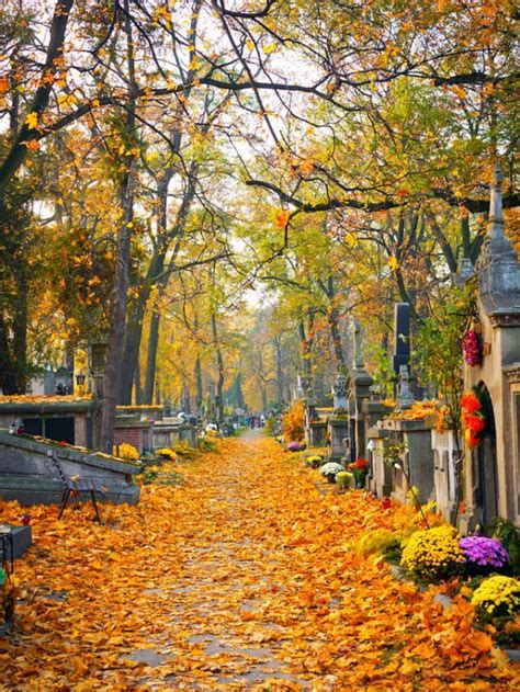 Most Beautiful Cemeteries In The Us Damia Global Services Private