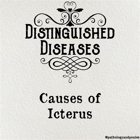 Causes of Icterus - Pathology and Ponies