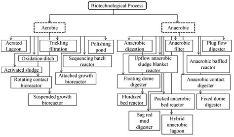 A Schematic Representation Of Different Types Of Biotechnological