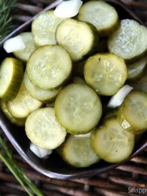 Overnight Homemade Pickles Recipe Story Snappy Gourmet