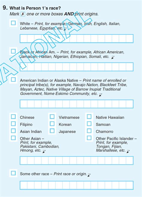 New Expanded Categories In The 2020 Census Questionnaire Irish America