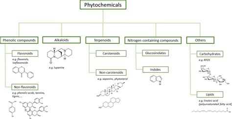 Classification And Structure Of Commonly Found Legume Phytochemicals