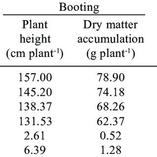 Effect Of Planting Pattern On Soil Water Content Mm With Treatments