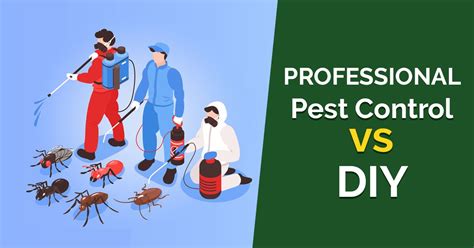 Professional Vs Diy Pest Control What Is Best For You Pest Control Melbourne