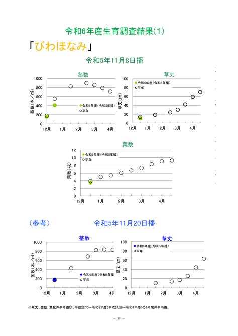 令和6年産 5年播 麦生育情報no 1 高島地域農業センター