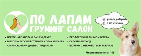 Груминг салон Уфа | По Лапам | ПО ЛАПАМ- Груминг салон с бережной ...