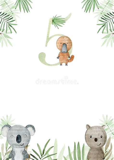 Watercolor Australian Frame Stock Illustration Illustration Of