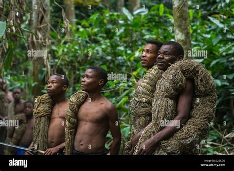 Bakola pygmy duiker hunting nets Banque de photographies et dimages à