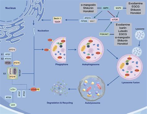 Figure From Exploiting Nanotechnology For Drug Delivery Advancing