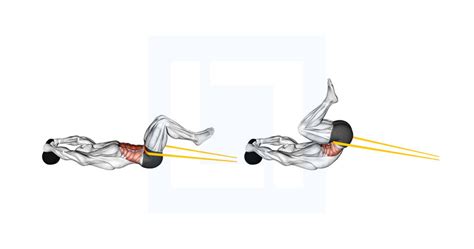 Resistance Band Reverse Crunch - Guide, Benefits, and Form