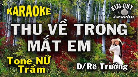 THU VỀ TRONG MẮT EM KARAOKE Tone NỮ Trầm D Rê Trưởng KIm Quy