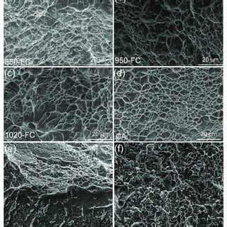 Typical Microstructures Of Titanium Alloys A Widmanst Tten B