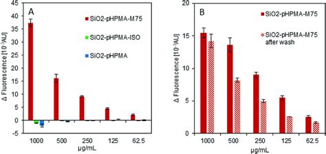 In Vitro Characterisation Of Nanoparticle Surface Functionalisation