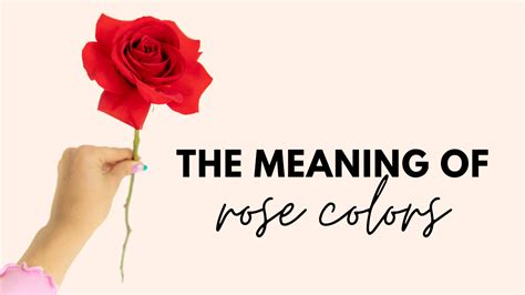 The Meaning of Rose Colors