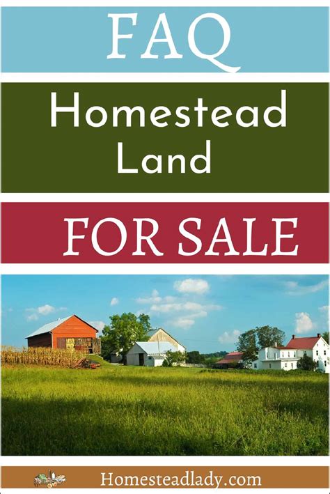 Questions to Ask About Homestead Land for Sale • Homestead Lady
