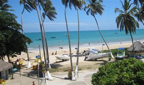 Excurs O A Maragogi Saindo De Porto De Galinhas Dicas Incr Veis