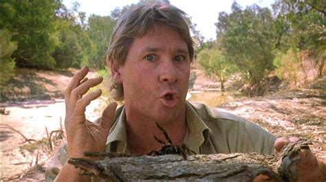 The Crocodile Hunter Collision Course 17 Cinematic Diversions