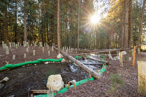 Native Salmonid Conservation Facility - Usk Fish Hatchery | Lydig ...