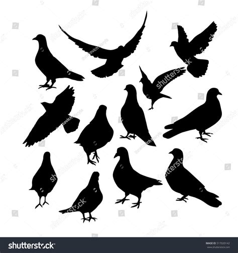 Pigeons Silhouette Vector 517020142 Shutterstock