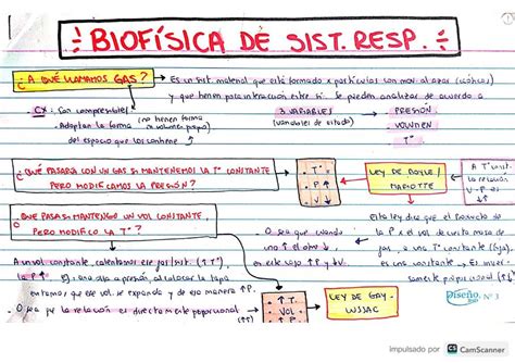 Biof Sica Del Sistema Respiratorio Jesi Castro Udocz