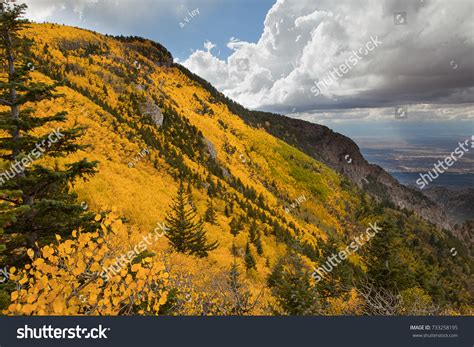 Aspen Turning Colors On Sandia Crest Stock Photo 733258195 Shutterstock