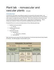 Plant Lab Nonvascular And Vascular Plants 3 Docx Plant Lab