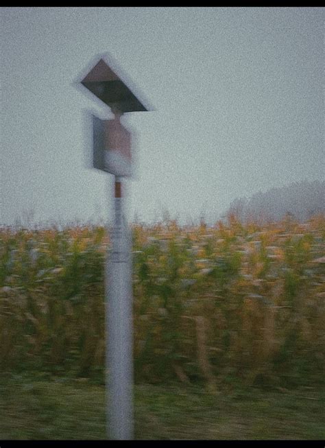 Dreamy Cornfield Landscape