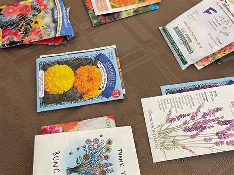 What is National Seed Swap Day? — Tasty Harvests