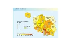 Spis Powszechny 2011 wyniki ludność Polski bezrobocie najciekawsze