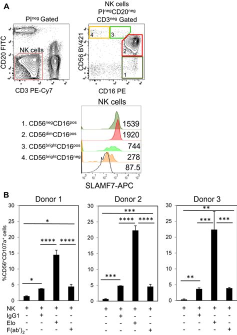 A Subpopulation Of NK Cells Expresses SLAMF7 And Direct Degranulation