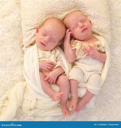 Sleeping Identical Twin Babies Stock Image - Image of small, shawl ...