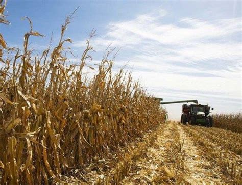 Illinois Harvest On The Home Stretch Brownfield Ag News