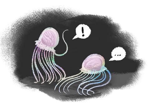 Brain Jellies By Herbaljabbage On Deviantart