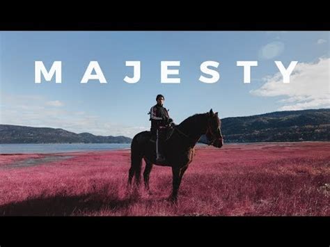 Apashe music, videos, stats, and photos | Last.fm