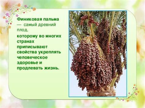 Полезные свойства фиников